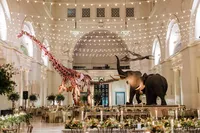 Chicago Wedding Photographer