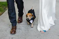 Chicago Wedding Photographer