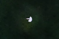 An aerial photograph of a pregnant mother lying on her side in a large open field.