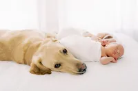 newborn and dog