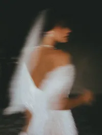 Blurred Bride Silhouette