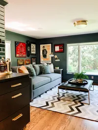Masculine interior design project by Patina Design Co. McLean, VA