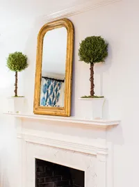 Fresh traditional living room