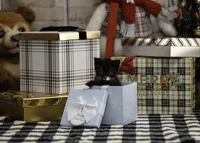 Salem 2