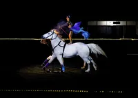 Equine-Affair-Fantasia-Springfield-MA-1