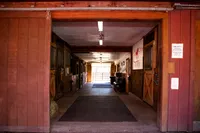 Equine-Photography-Wallingford-CT-Fine-Step-Equestrian-Bethany-4