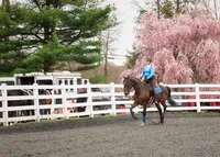 Horse-Show-Photography-Wallingford-CT-1