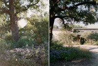 kendall-stephen-bw-theory-hill-country-wedding4