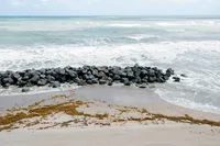 SunnyLeePhoto-8
