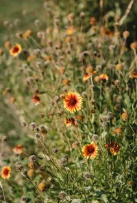 LuciaGiuseppinaPhotography958