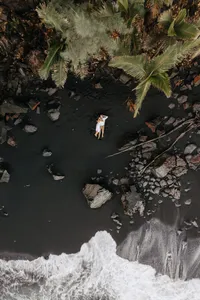 DJI_0019