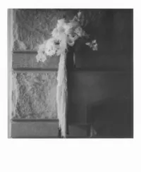 Nashville-Tennessee-Polaroid-Photographer-Bri-Nicole-Photo-Co-5
