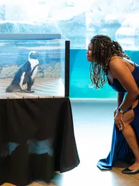 NYC-Colorful-Wedding-Photographer-Multicultural-Penguins-Maya-Lovro-Photography-5654