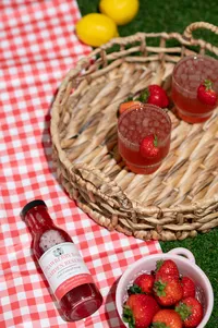 ShandiMarieVermontBrandPhotographer-24