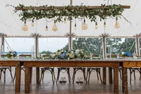 Reception tables under hanging greenery