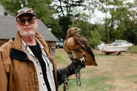 Falconer with a red-tailed hawk on the lawn at Chebeague Island Inn