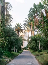 Pathway lined with palm trees leading to a grand Italian villa Astor in Sorrento — a refined setting for destination weddings.