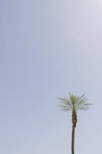 003-R6228880