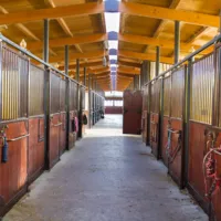 horse stalls