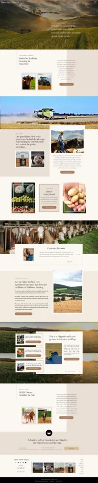 McKenzie Showit template HP 7.6.25