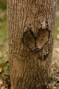 764A4456