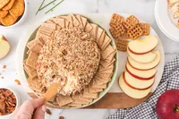 Cheese Ball HD-15