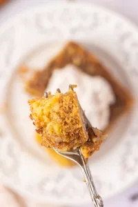Pumpkin Crunch Cake Hero web-19