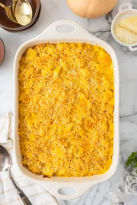 Butternut Squash Mac & Cheese Hero web-1