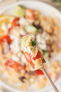 Mediterranean Orzo salad Hero-17