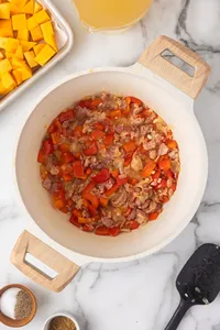 Chicken Soup with Butternut Squash-Process 9
