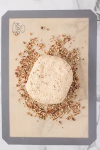 Cheese Ball HD-8