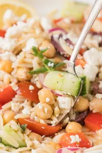 Mediterranean Orzo salad Hero-21