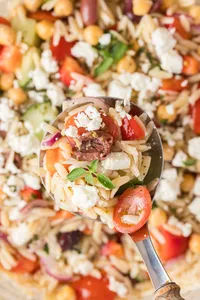Mediterranean Orzo salad Hero-4