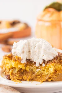 Pumpkin Crunch Cake Hero web-25