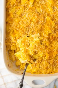 Butternut Squash Mac & Cheese Hero web-6