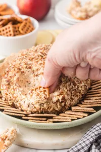 Cheese Ball HD-19