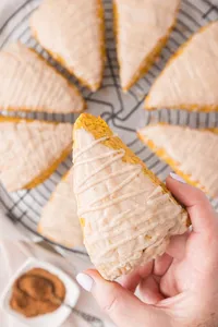 Pumpkin Scone Web Hero-7
