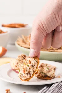 Cheese Ball HD-22