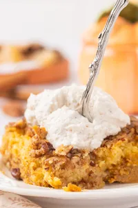 Pumpkin Crunch Cake Hero web-24