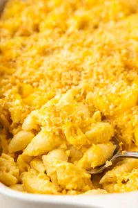 Butternut Squash Mac & Cheese Hero web-12
