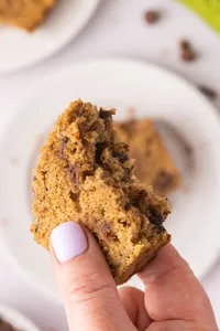 Zucchini Bread with Chocolate Chips Heros-19