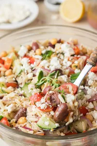 Mediterranean Orzo salad Hero-10