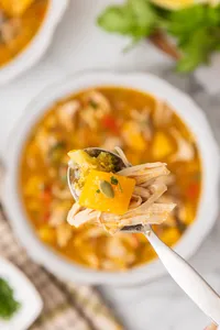 Chicken Soup with Butternut Squash-Hero 25