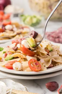 Bow Tie Pasta Salad Hero-17