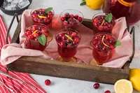 Cranberry Punch (19 of 23)