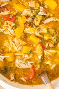 Chicken Soup with Butternut Squash-Hero 9