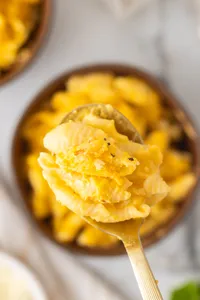 Butternut Squash Mac & Cheese Hero web-15