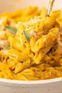 Butternut Squash Pasta Sauce Hero web-16