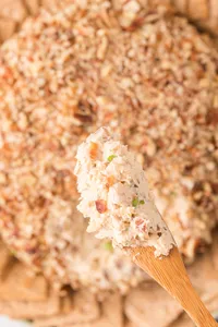 Cheese Ball HD-12