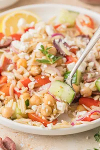 Mediterranean Orzo salad Hero-20